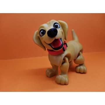 Labrador