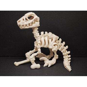 Raptor-kostra