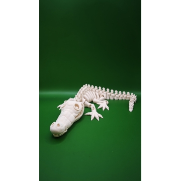 Krokodýl Kostra