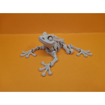 Skeleton žába z 3D tisku – pohyblivý model z PLA od TisknemTo3D.cz