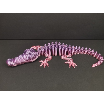 Krokodýl – kostra duhový